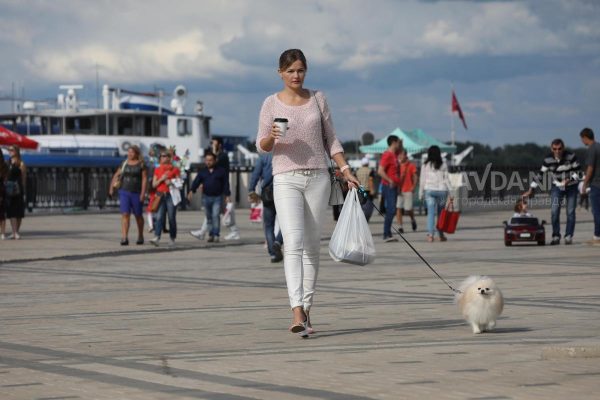 Зоопсихолог Волков осудил предложение не пускать никуда собачников